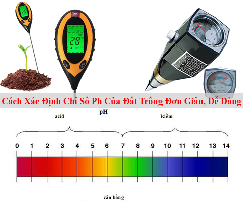 Cách Xác Định Chỉ Số Ph Của Đất Trồng Đơn Giản, Dễ...