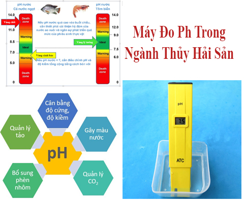 Top 3 Máy Đo Ph Phục Vụ Ngành Thủy Hải Sản Chỉ 2 Triệu...