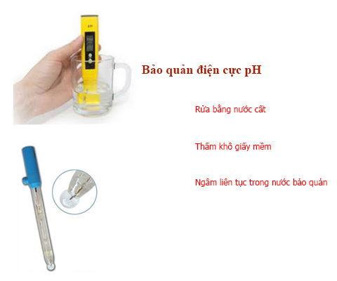 Mách Bạn Cách Sử Dụng Và Bảo Quản Máy Đo Ph Cầm Tay – Máy đo pH