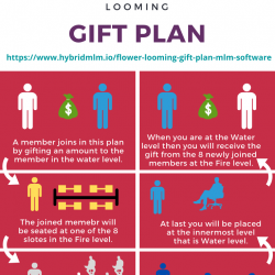 Flower Looming Gift Plan | Visual.ly