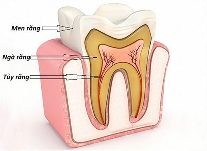 Bạn sẽ gặp phải những khó khăn gì khi điều trị nội nha?