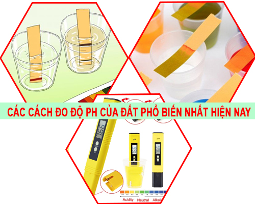 Các Cách Đo Độ Ph Của Đất Phổ Biến Nhất Hiện Nay