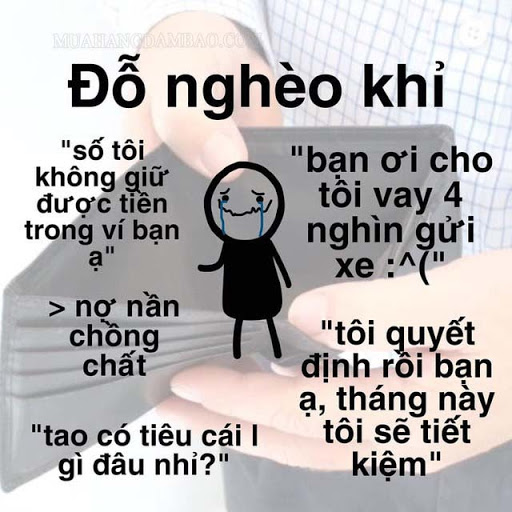 Đỗ nghèo khỉ là gì? Trend con đỗ nghèo khỉ bắt nguồn từ đâu