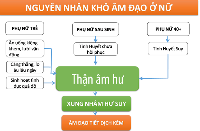 Khô âm đạo là gì? Nguyên nhân, triệu chứng và phương pháp điều trị hiệu quả - Tư Vấn Bệnh Học