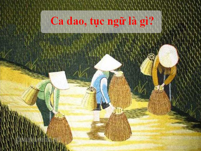 Ca dao tục ngữ là gì? NHẬN BIỆT "thành ngữ và tục ngữ"