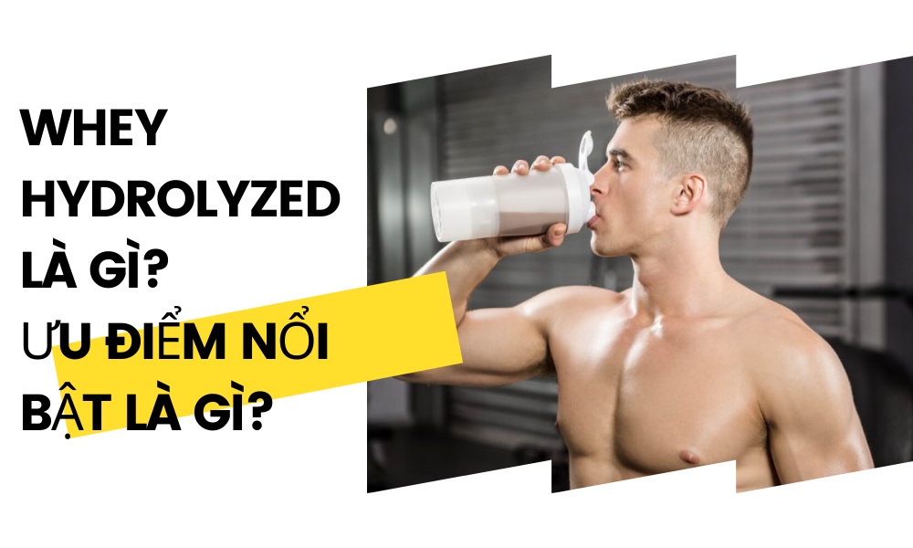 Whey Hydrolyzed là gì? Sữa Whey này có ưu việt nổi bật nào?