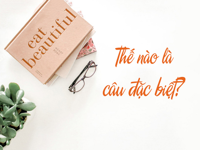 Thế nào là câu đặc biệt? Câu rút gọn? #MẸO phân biệt ĐƠN GIẢN