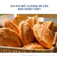 https://hoangtung.vn/news/chi-phi-de-mo-lo-banh-mi..
