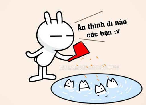 Bait là gì? Tìm hiểu ý nghĩa khác của "bait" trong các lĩnh vực