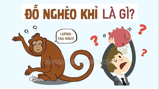 Đỗ nghèo khỉ là gì? Trào lưu đỗ nghèo khỉ bắt nguồn từ đâu?