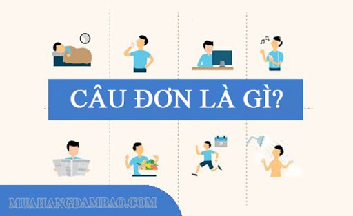 Câu đơn là gì? Phân loại và cách đặt câu đơn chuẩn