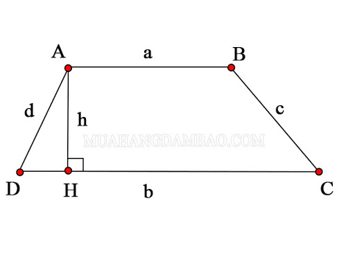 Hình thang là gì? Công thức tính chu vi, diện tích hình thang vuông, cân