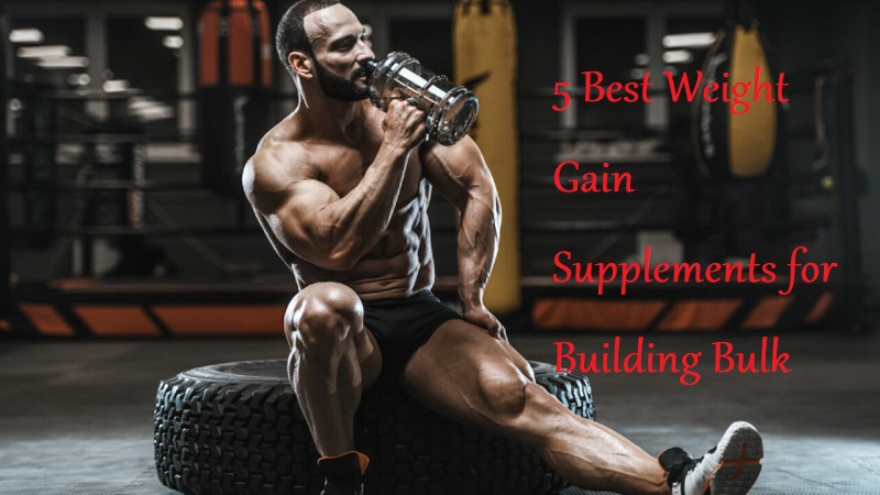 5 Best Weight Gain Supplements for Building Bulk - LearningJoan