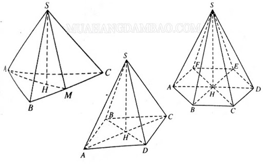 Hình chóp là gì? Công thức tính chu vi, diện tích, thể tích hình chóp
