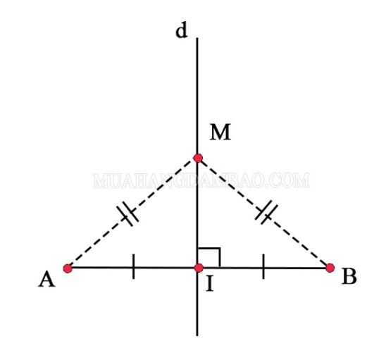 Đường trung trực là gì? Lý thuyết và các dạng bài tập thường gặp