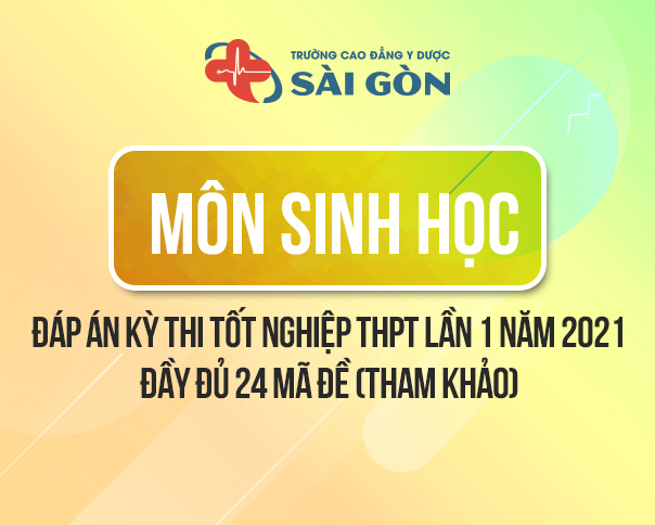 Đáp Án môn Sinh thi tốt nghiệp THPT 2021 - Full 24 mã đề