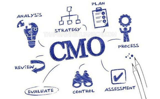 CMO là gì? Vai trò và công việc của CMO trong doanh nghiệp