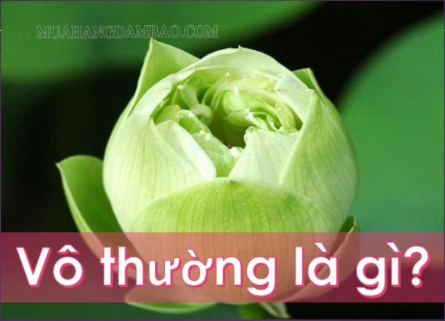 Vô thường là gì? Hiểu đúng ý nghĩa vô thường trong Phật giáo