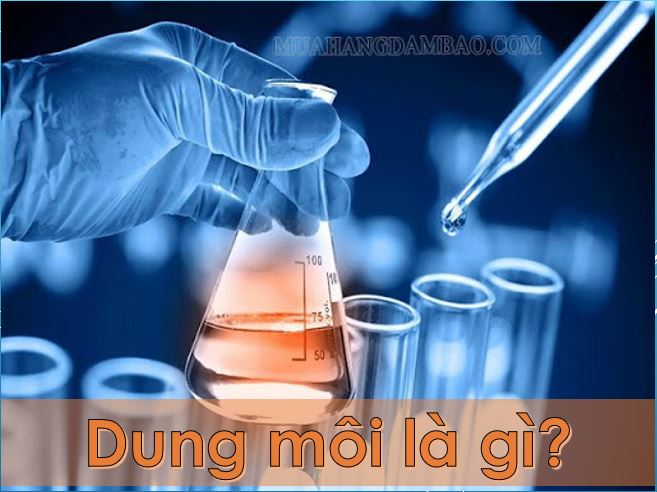 Dung môi là gì? Tính chất và ứng dụng của dung môi trong thực tế