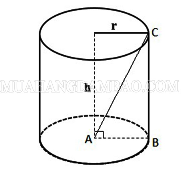 Công thức tính diện tích, thể tích hình trụ như thế nào?