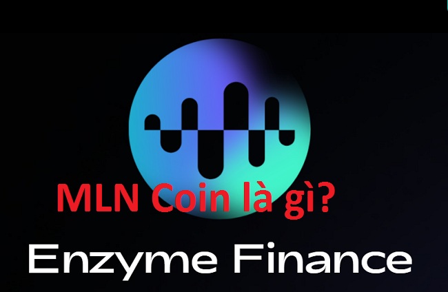 Enzyme là gì? MLN Coin là gì? Mua bán & Tạo ví MLN Coin ở đâu? -