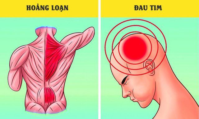 TRĨ NÊN ĂN HOA QUẢ GÌ? [DANH SÁCH 10 LOẠI QUẢ NÊN ĂN] | blogsứckhỏe