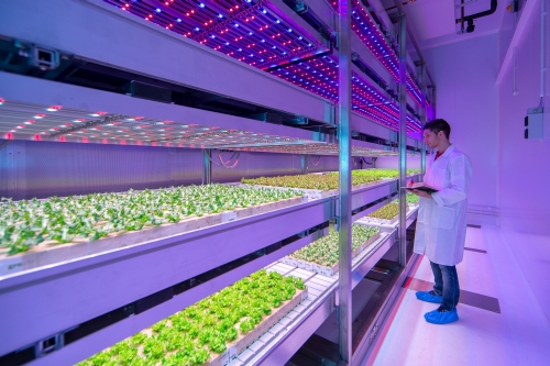 Philips nghiên cứu sử dụng đèn LED phục vụ nông nghiệp