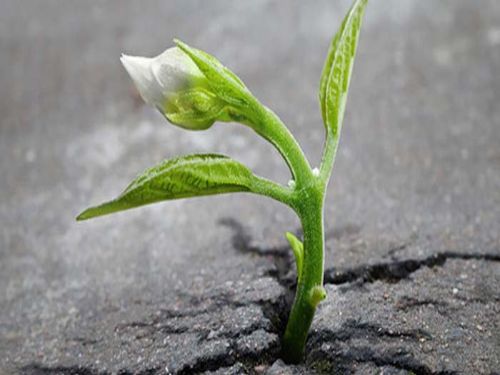 Thử thách cuộc sống - Muốn thành công thì phải chấp nhận - Blog tin tức công nghệ xe ô tô