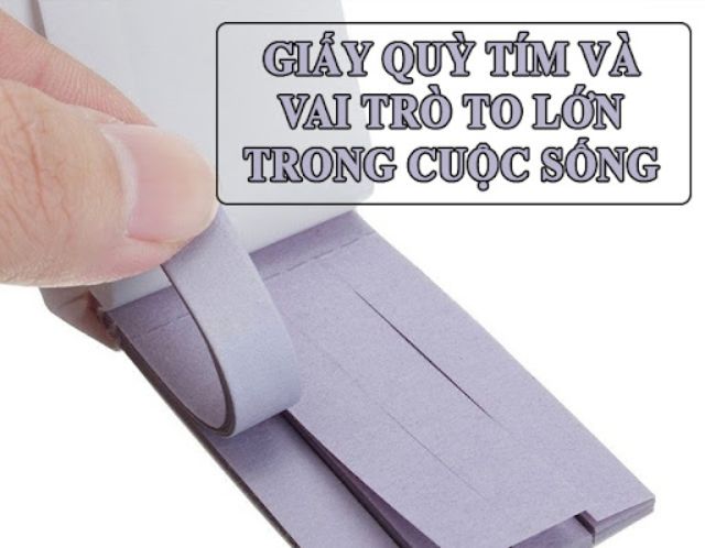 Giấy quỳ tím cùng những ứng dụng bất ngờ trong cuộc sống