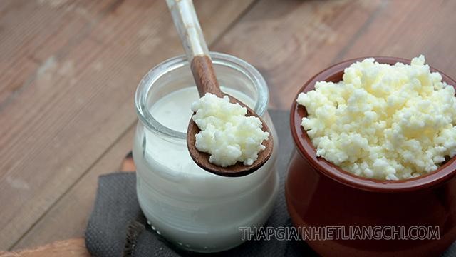 Nấm sữa Kefir là gì? Công dụng và cách nuôi nấm sữa Kefir