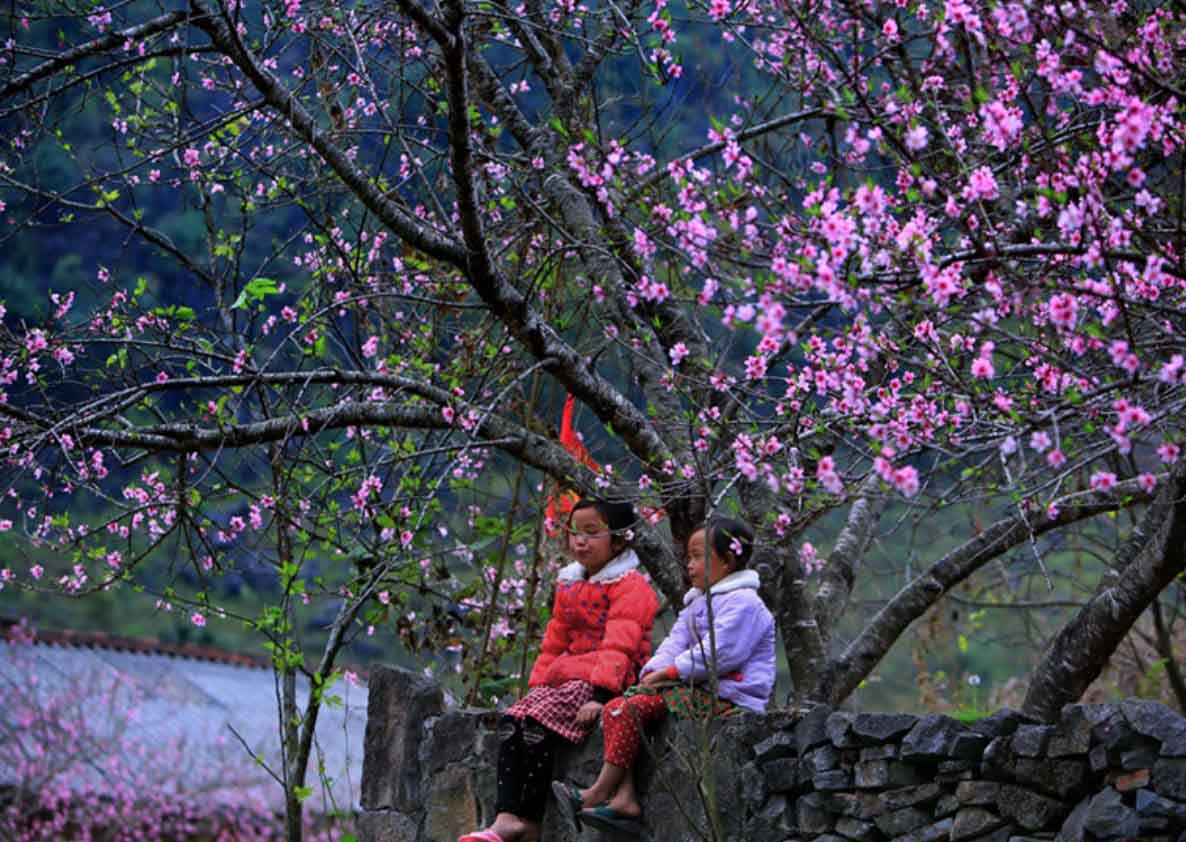 Du lịch Hà Giang tháng 2 có gì? Thời tiết Hà Giang tháng 2? - Sinhtour.vn