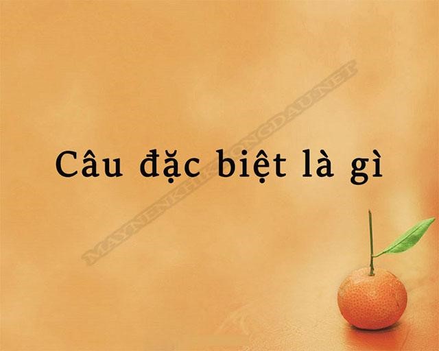 Câu đặc biệt là gì? Câu rút gọn là gì? Ví dụ minh họa