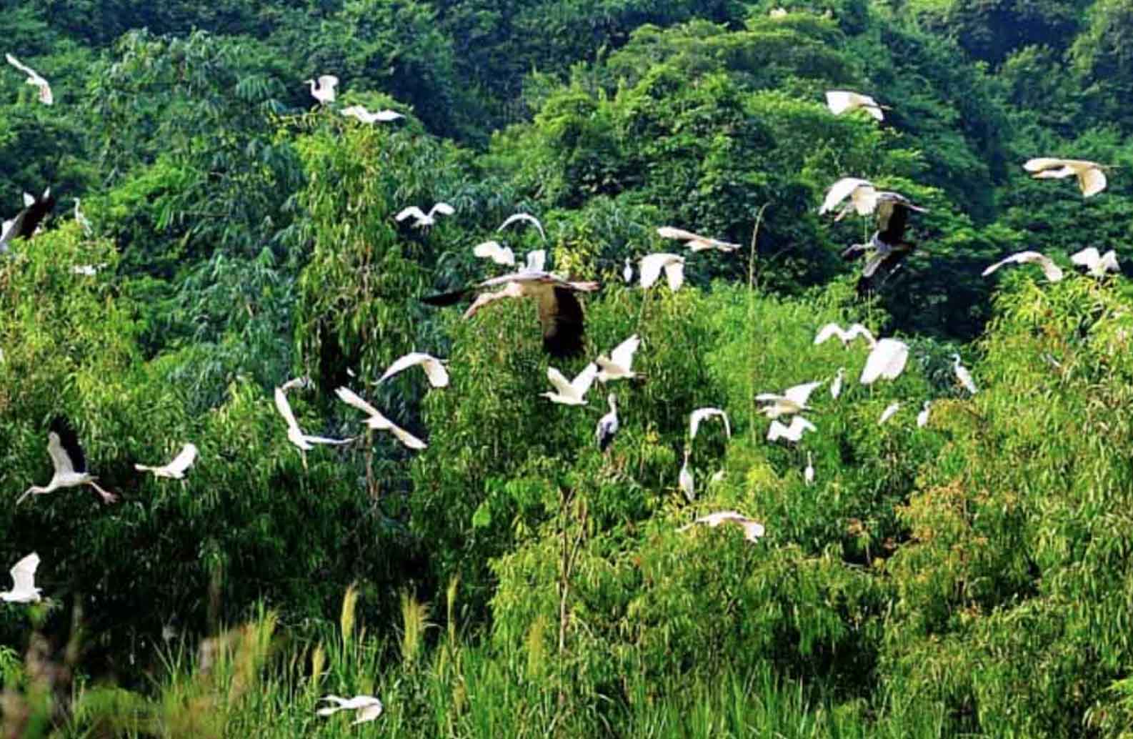 Du lịch Ninh Bình tháng 11 có gì? Thời tiết Ninh Bình tháng 11 - Sinhtour.vn