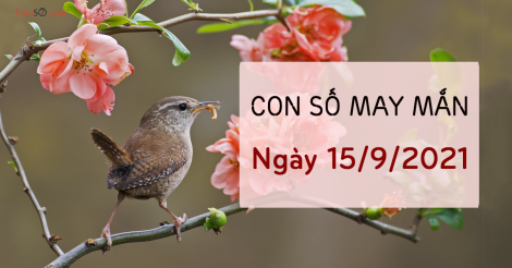 Con số may mắn hôm nay ngày 15/9/2021: Phong thủy đại vượng