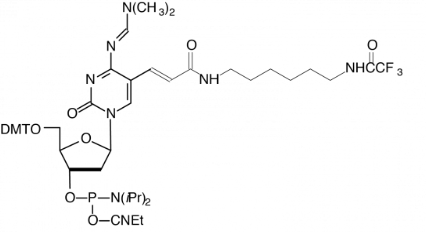 CAS 853955-92-7 Amino-Modifier C6 dC - RNA / BOC Sciences