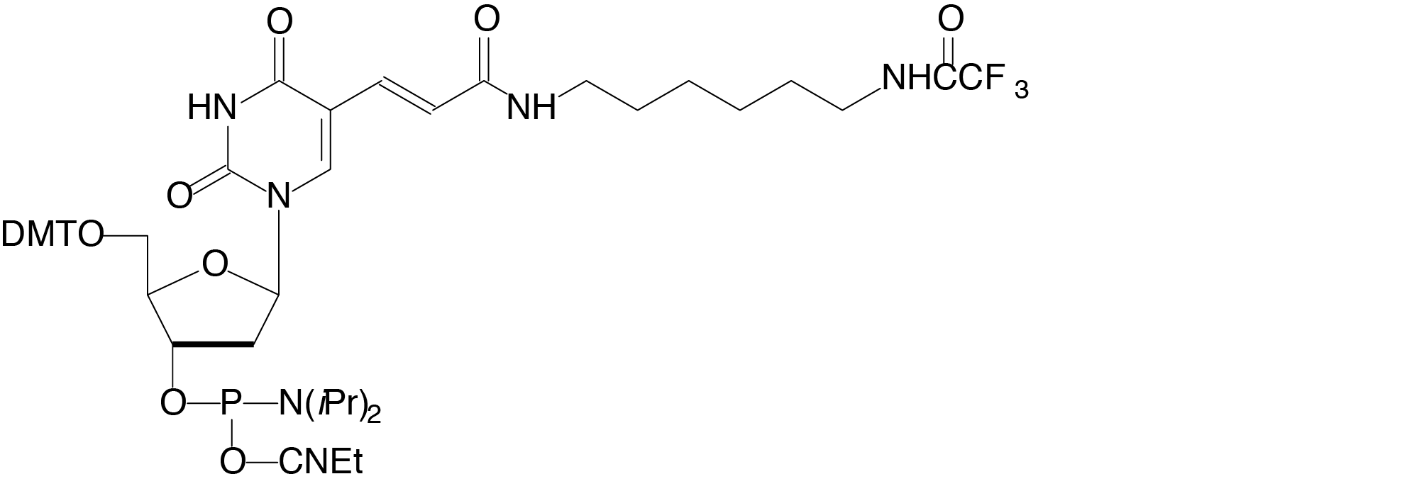 CAS 178925-21-8 Amino-Modifier C6 dT - RNA / BOC Sciences