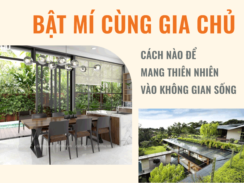 Bật Mí Cách Mang Thiên Nhiên Vào Không Gian Sống | Đất Thủ