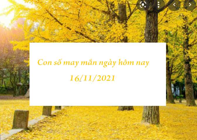 Cập nhật con số may mắn ngày hôm nay 16/11/2021