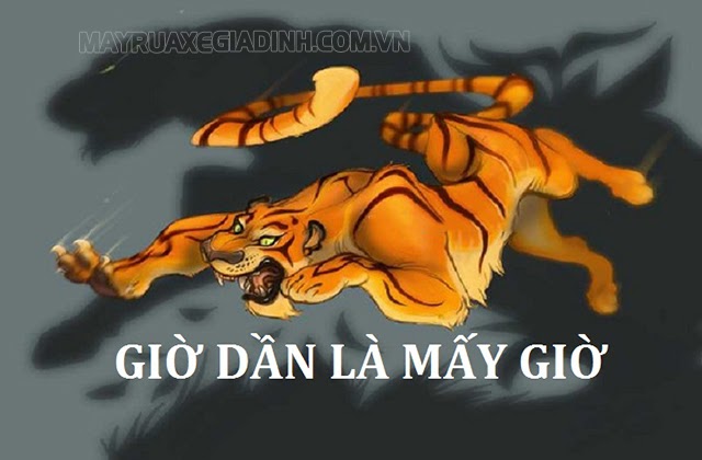 Giờ Dần là mấy giờ? Vận mệnh của người sinh vào giờ Dần ra sao?