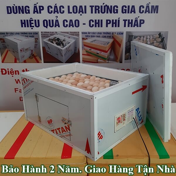 Máy Ấp Trứng Gà Ở Phú Thọ - Nở 95% - Giá Từ 450k BH 2 Năm