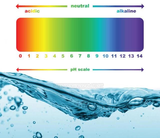 Cách điều chỉnh độ PH trong nước chính xác nhất