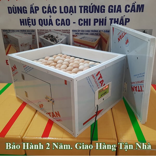 Máy Ấp Trứng Gà Ở Cần Thơ - Nở 95% - Giá Từ 450k BH 2 Năm