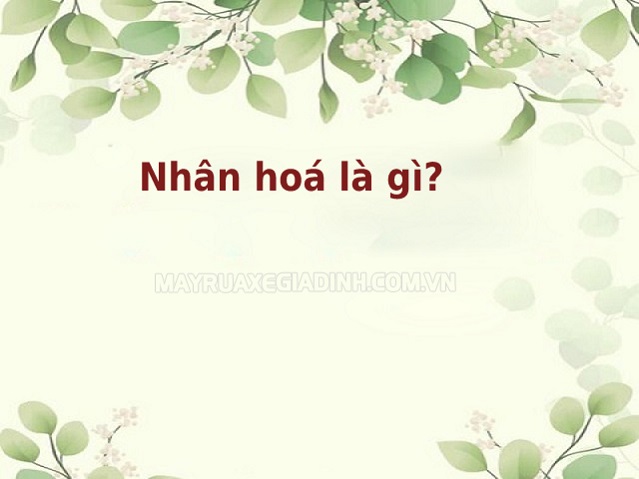 Phép nhân hoá là gì? Có tác dụng gì? Cho ví dụ và bài tập áp dụng