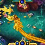 Online Fish Tables USA