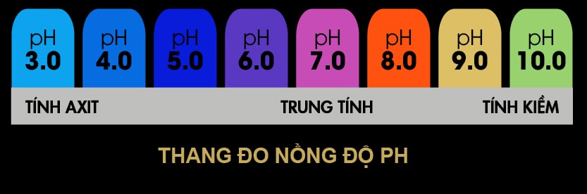 Nồng độ PH là gì? ý nghĩa và cách tính độ PH - Máy nén khí không dầu