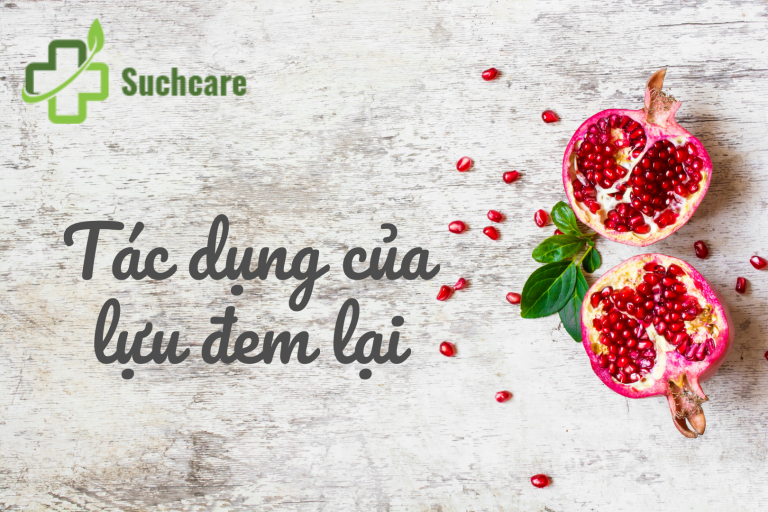 Ăn lựu có tốt không? Bất ngờ với 10+ tác dụng của lựu đem lại