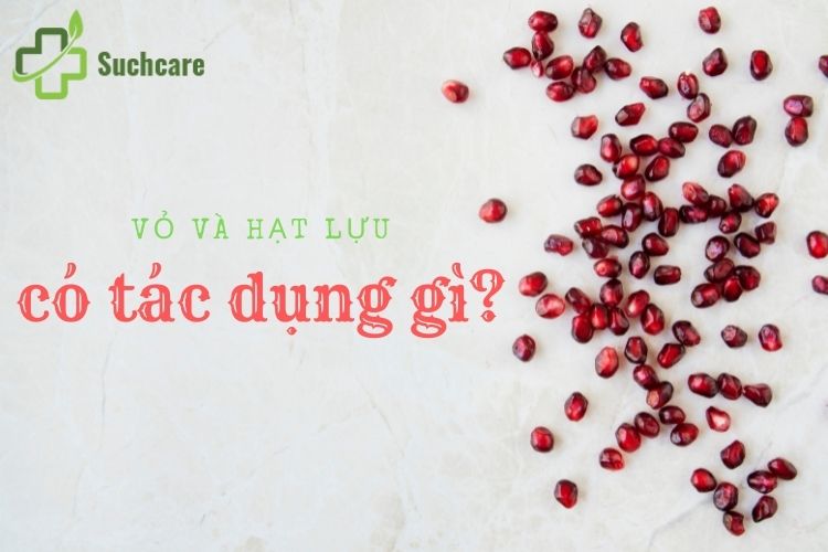 Vỏ và hạt lựu có tác dụng gì? Chia sẻ cách chọn lựu tươi ngon