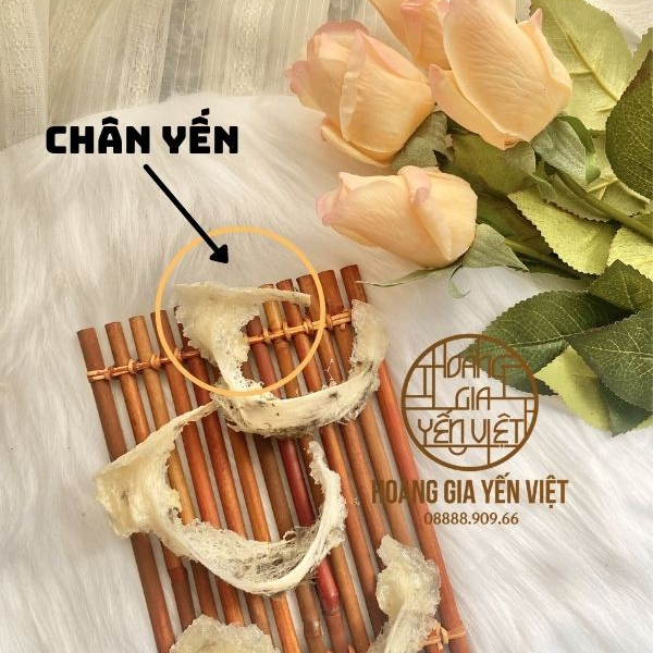 Chân yến thô mua ở đâu để đảm bảo nguyên chất uy tín