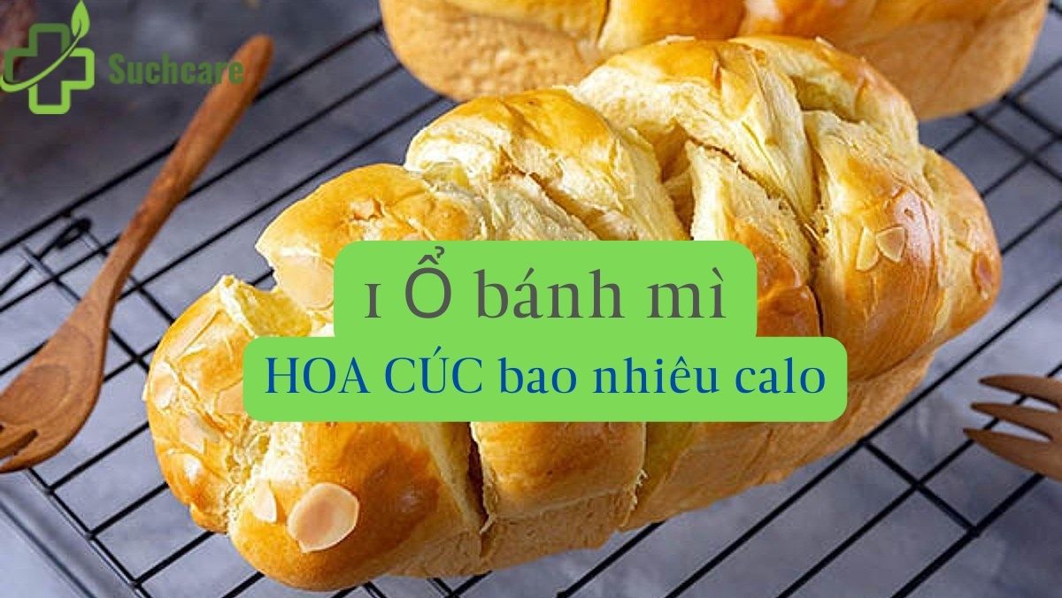 1 ổ bánh mì hoa cúc bao nhiêu calo? Ăn nhiều có béo không?