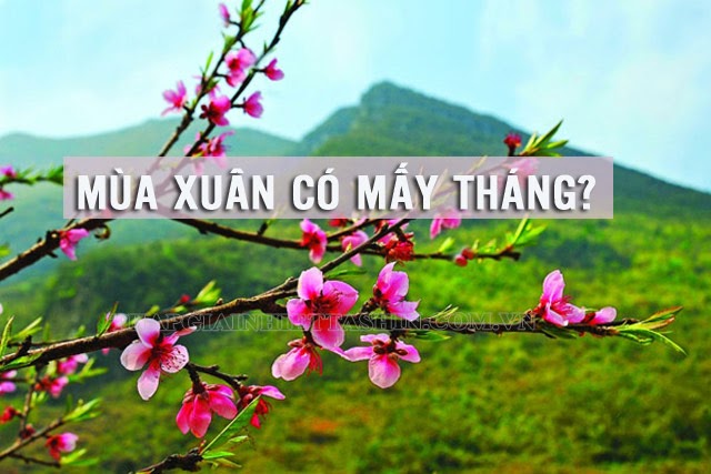 Mùa Xuân bắt đầu từ tháng mấy? Những đặc trưng của mùa XuânTháp giải nhiệt chính hãng